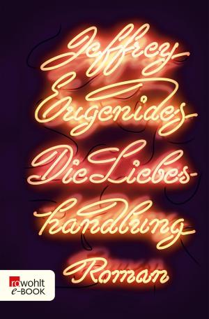Cover of the book Die Liebeshandlung by Simone de Beauvoir