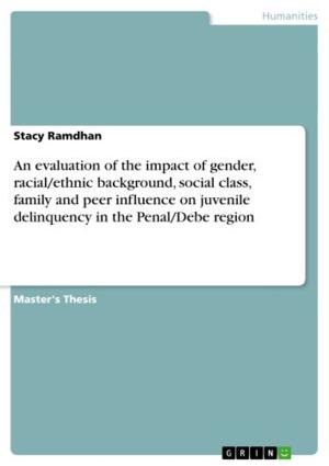 Cover of the book An evaluation of the impact of gender, racial/ethnic background, social class, family and peer influence on juvenile delinquency in the Penal/Debe region by Anonym