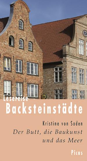 Book cover of Lesereise Backsteinstädte