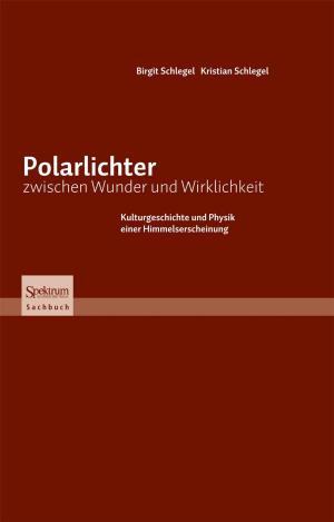 Cover of the book Polarlichter zwischen Wunder und Wirklichkeit by Sir Arthur Stanley Eddington