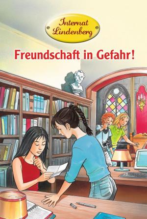 Cover of the book Internat Lindenberg. Freundschaft in Gefahr! by Sharon Abimbola Salu