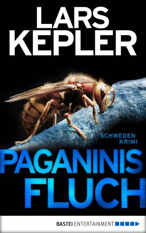 Book cover of Paganinis Fluch