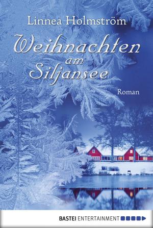 Cover of the book Weihnachten am Siljansee by Andreas Kufsteiner