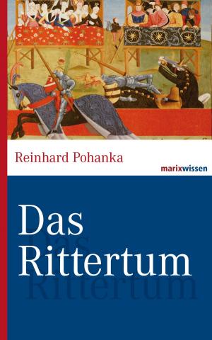 Cover of the book Das Rittertum by Jürgen Wertheimer, Isabelle Holz, Florian Rogge
