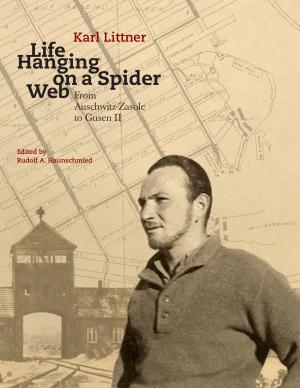 Cover of the book Life Hanging on a Spider Web by Klaus Hinrichsen