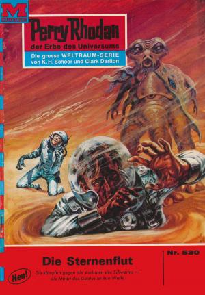 Cover of the book Perry Rhodan 530: Die Sternenflut by Susan Schwartz