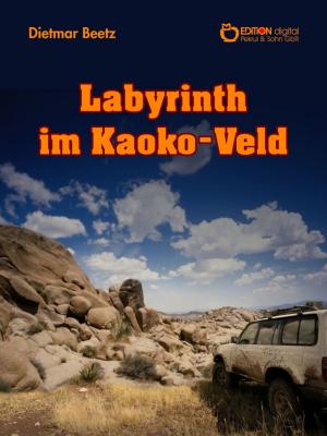 Cover of the book Labyrinth im Kaoko-Veld by Tucker
