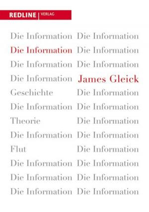 Cover of the book Die Information by Edgar K. Geffroy
