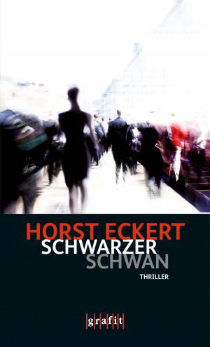 Cover of the book Schwarzer Schwan by Andreas Hoppert