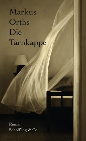 Cover of the book Die Tarnkappe by Nicky Drayden