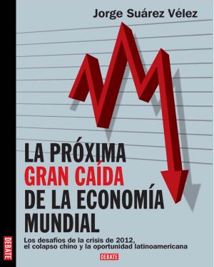 Cover of the book Próxima gran caída de la economía mundial by Pamela Jean Zetina
