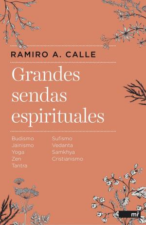 Cover of the book Grandes sendas espirituales by AA. VV.