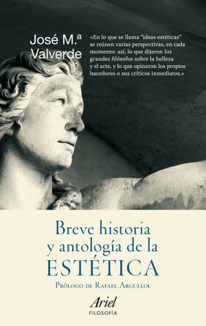 Cover of the book Breve historia y antología de la estética by Judi James