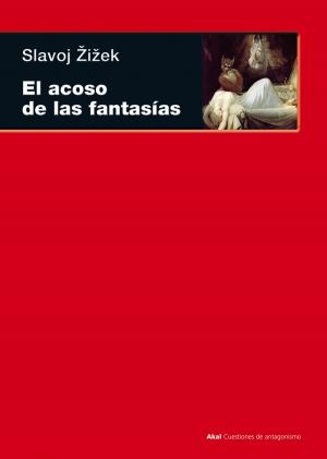 Book cover of El acoso de las fantasías