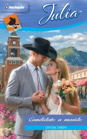 Cover of the book Candidato a marido by Carol Marinelli