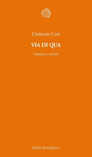 Cover of the book Via di qua by Michela Fusaschi