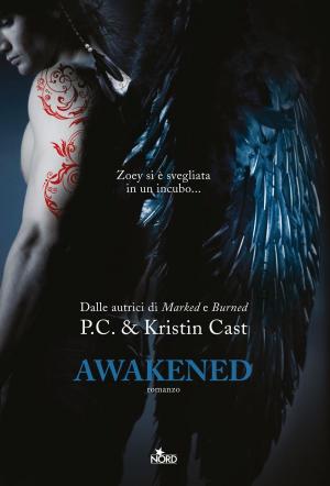 Cover of the book Awakened by J. Lynn, Jennifer L. Armentrout