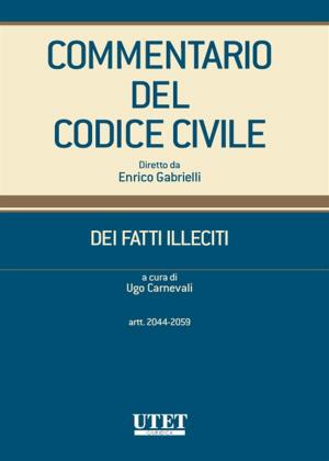bigCover of the book DEI FATTI ILLECITI (artt. 2044-2059) volume 2 by 