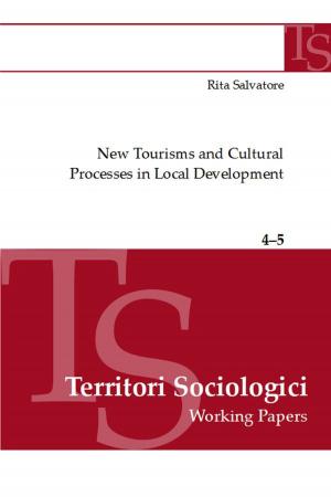 Book cover of New tourisms and cultural processes in local development