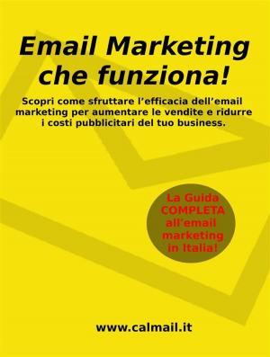Book cover of Email marketing che funziona. la guida che ti svela come utilizzare l'email marketing per aumentare le vendite e ridurre i costi del tuo business