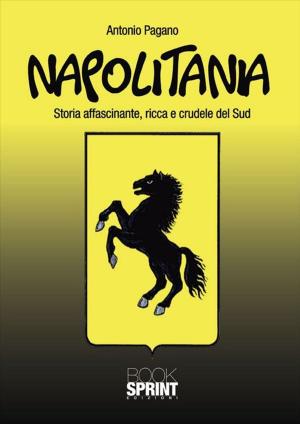 Cover of the book Napolitania by Antoine Marasciò