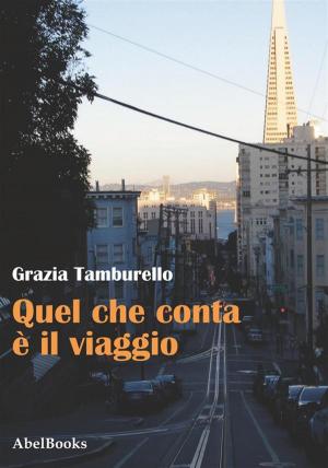 Cover of the book Quel che conta è il viaggio by Fabrizia Iranzo Imperatori