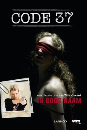 Cover of the book In Gods naam by S M Henley