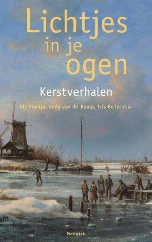 Cover of the book Lichtjes in je ogen by Bernard Baudouin, Céline Chadelat