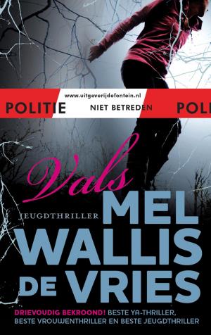 Cover of the book Vals by Julie Klassen