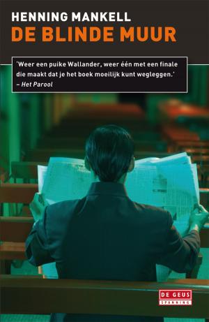 Cover of the book De blinde muur by Martin Bossenbroek