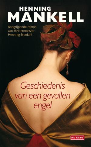 Cover of the book Geschiedenis van een gevallen engel by Håkan Nesser