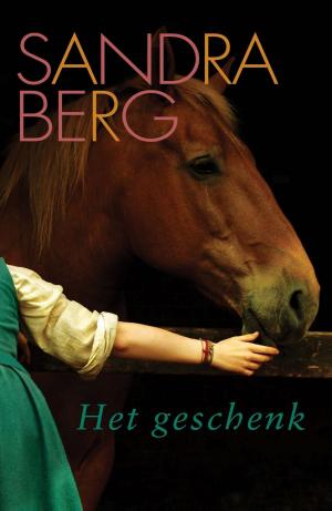 Cover of the book Het geschenk by Greetje van den Berg