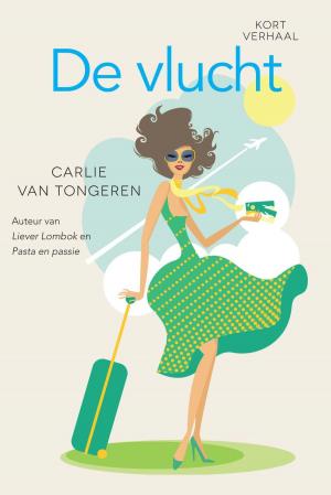 Cover of the book De Vlucht by AC Baantjer, Peter Romer