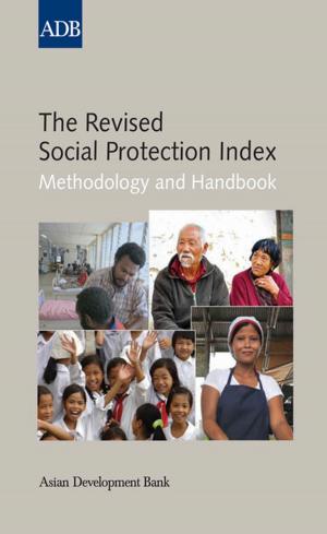 Cover of the book The Revised Social Protection Index by Mark Miller