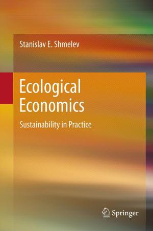 Cover of the book Ecological Economics by Rino Micheloni, Alessia Marelli, Kam Eshghi