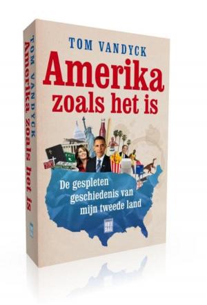 Cover of the book Amerika zoals het is by Mies Meulders