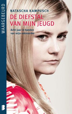 Cover of the book De diefstal van mijn jeugd by Laura Lippman