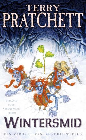 bigCover of the book Wintersmid by 