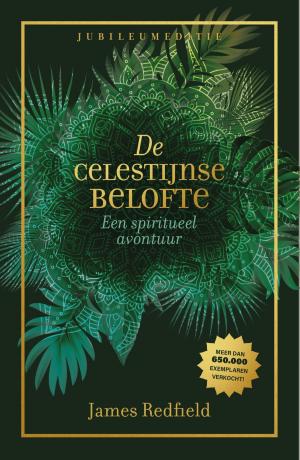 Cover of the book De Celestijnse belofte by Jeffery Deaver