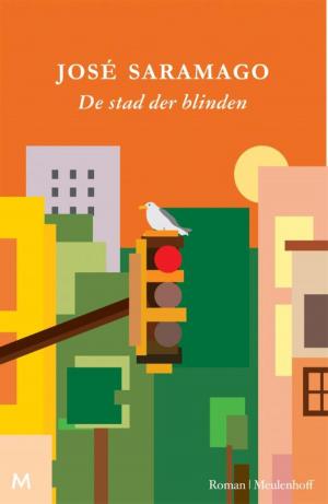Cover of the book De stad der blinden by Chris Ryan