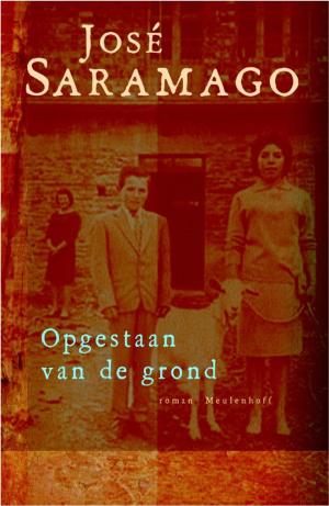 Cover of the book Opgestaan van de grond by Patricio Pron