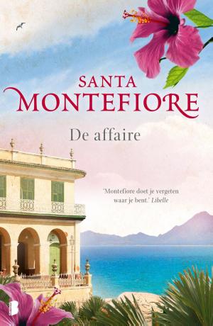 Cover of the book De affaire by Santa Montefiore