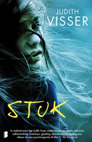Cover of the book Stuk by Vivian den Hollander