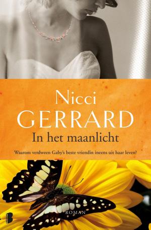 Cover of the book In het maanlicht by Leenna Naidoo