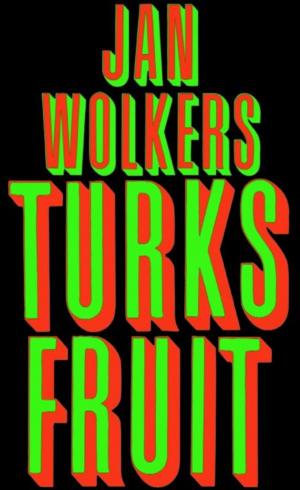 Cover of the book Turks fruit by Stephen Kirkaldy