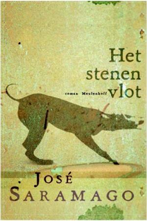 Cover of the book Het stenen vlot by Gillian Flynn