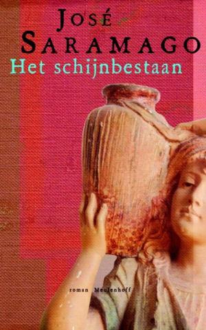 Cover of the book Het schijnbestaan by Norman Crane