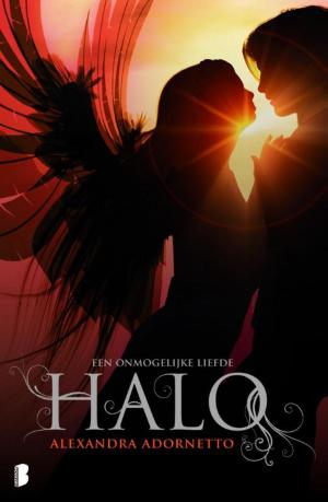 Cover of the book Halo by Alex Paul