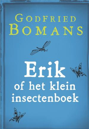 Cover of the book Erik of het klein insectenboek by Ursula K. le Guin