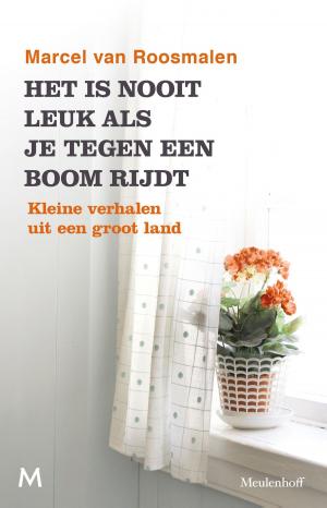 Cover of the book Het is nooit leuk als je tegen een boom rijdt by Patrick van Hees